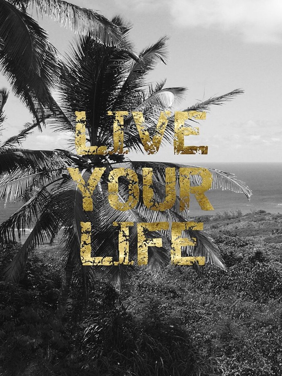 Live Your Life Poster Print by Sheldon Lewis - Item # VARPDXSLBRC283B
